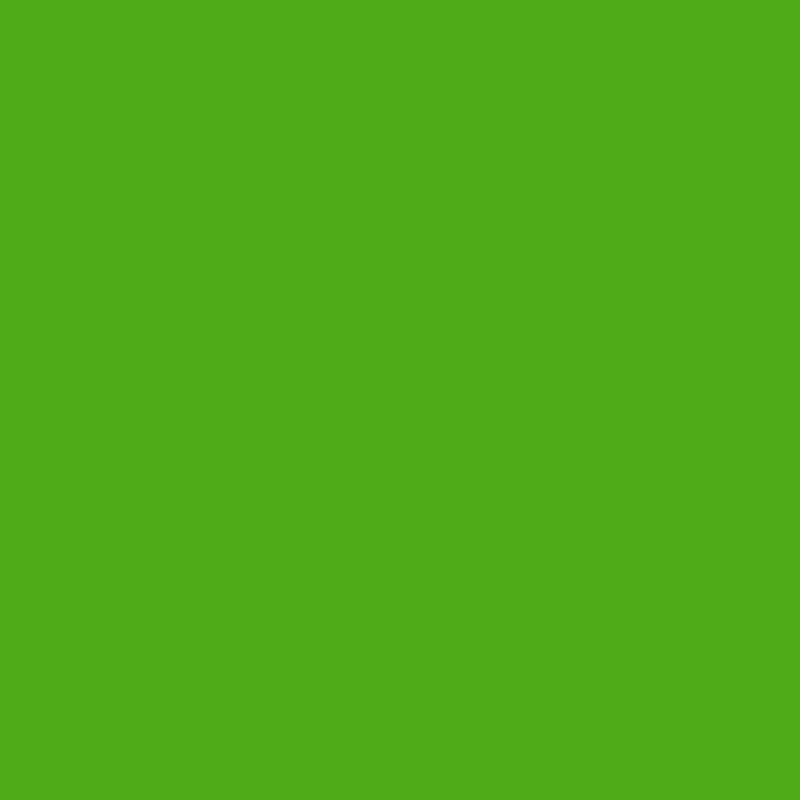 2031-10 Neon Lime