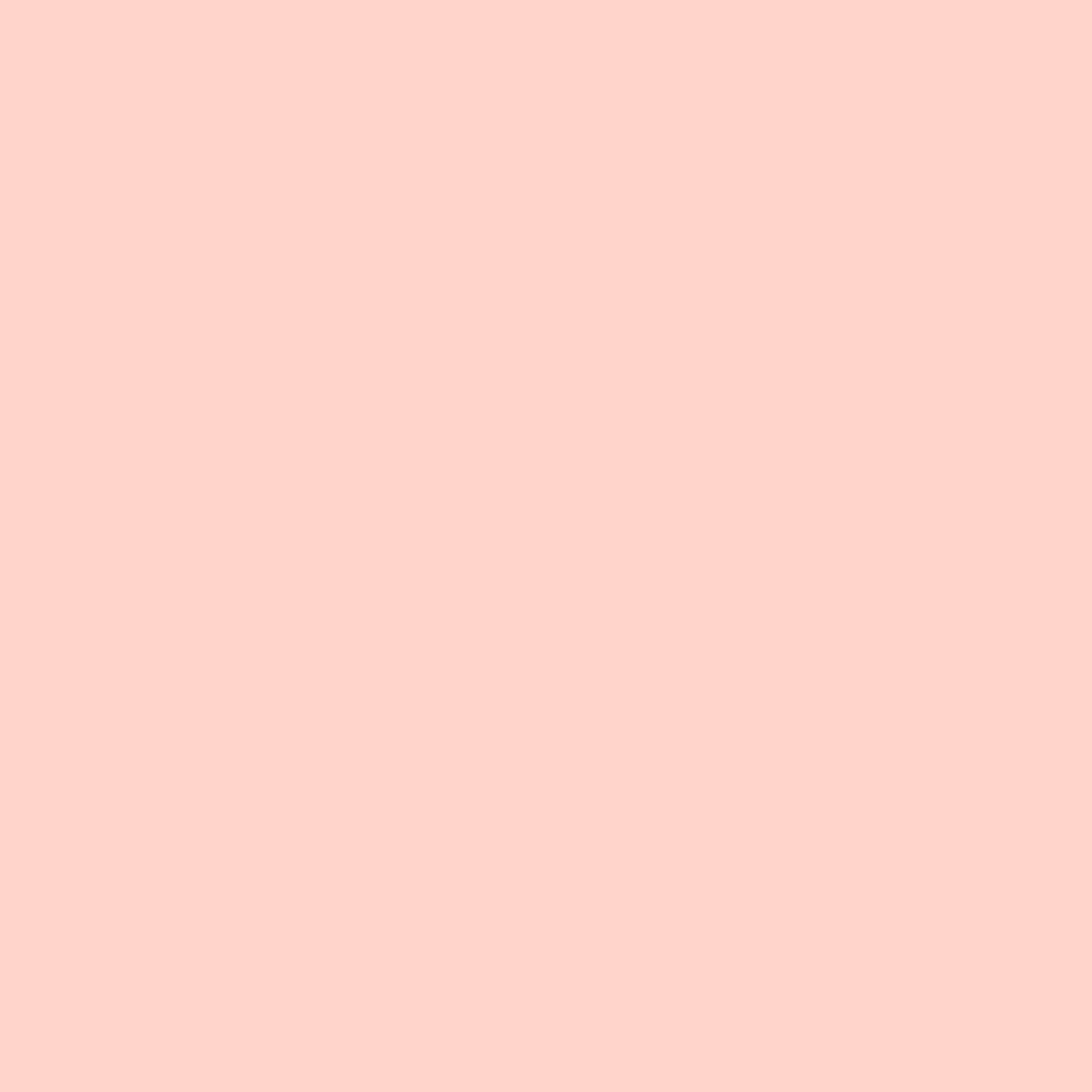 ミシェル　Michelle×レッドクリスタリナム Red Paint Colors | Kwikze Paint
